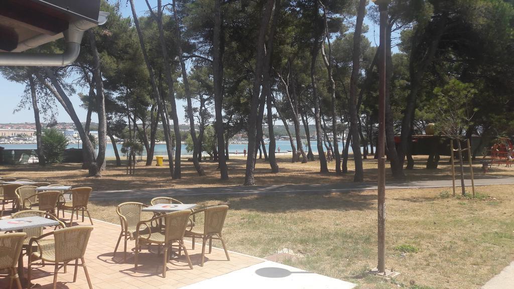 Apartament Clementa