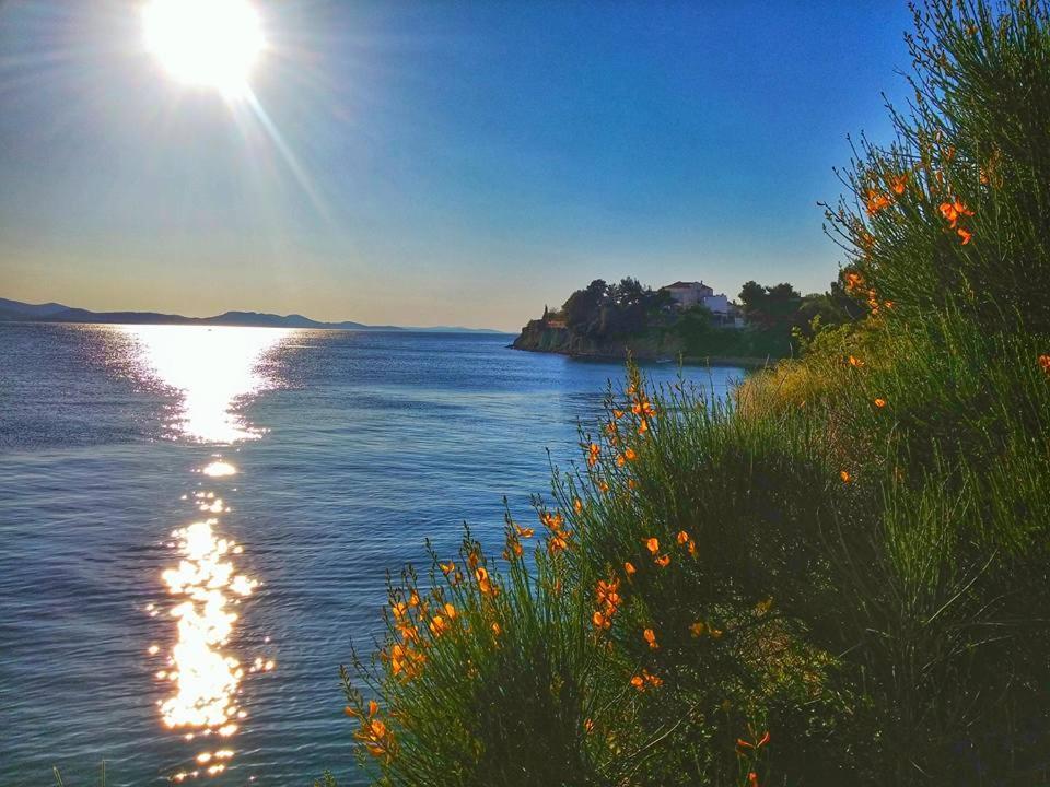 Apartmán Clementa Zadar